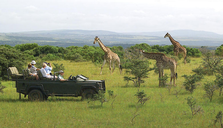 Game_drives | Crocvalley Camp