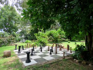 Safari Camp Giant Chess Board