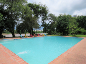 Safari Camp Swimming Pool