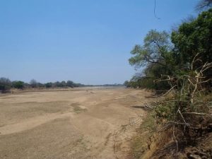 Dry Season South Luangwa